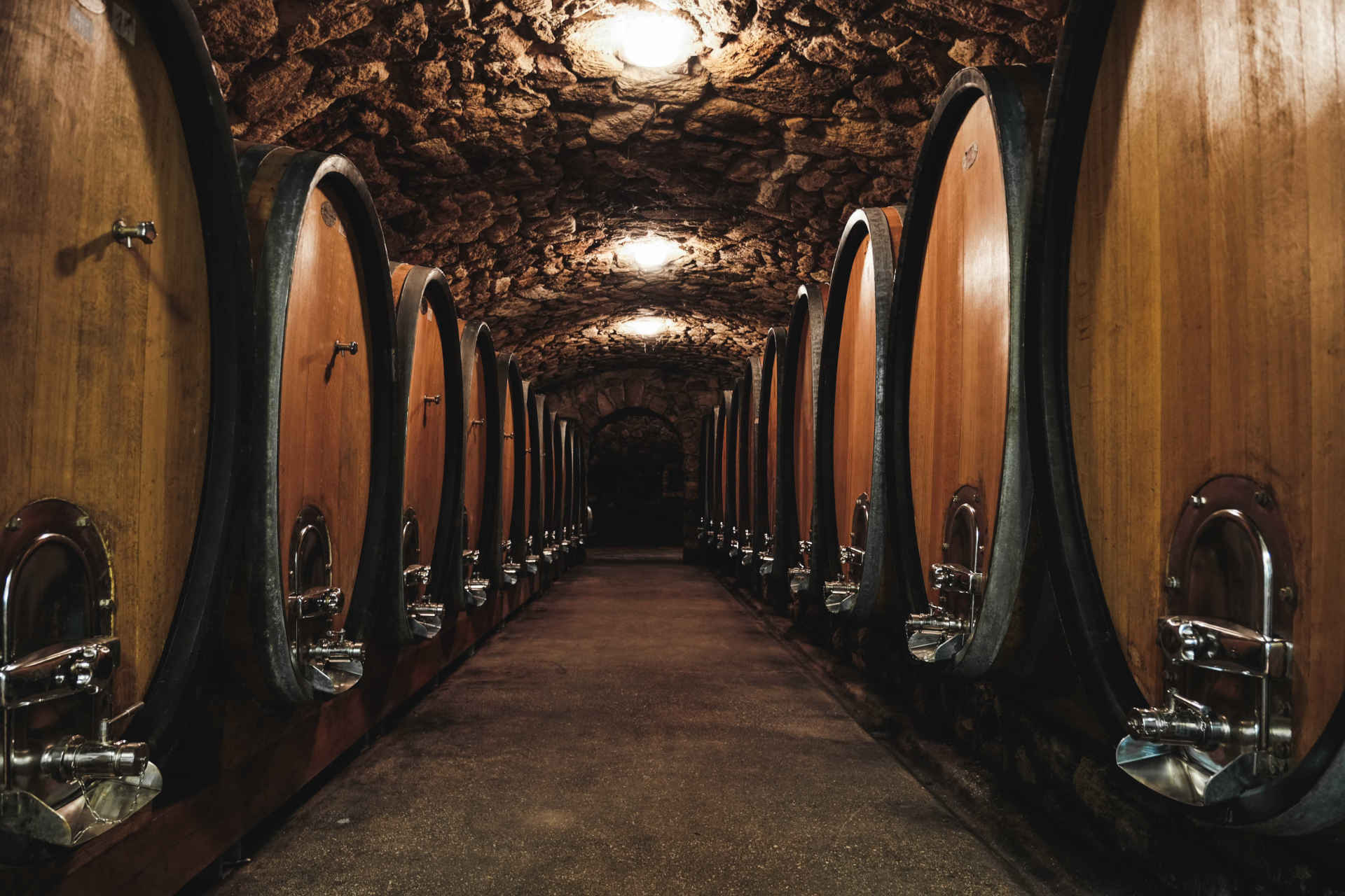 Fasskeller © Weingut Kerschbaum