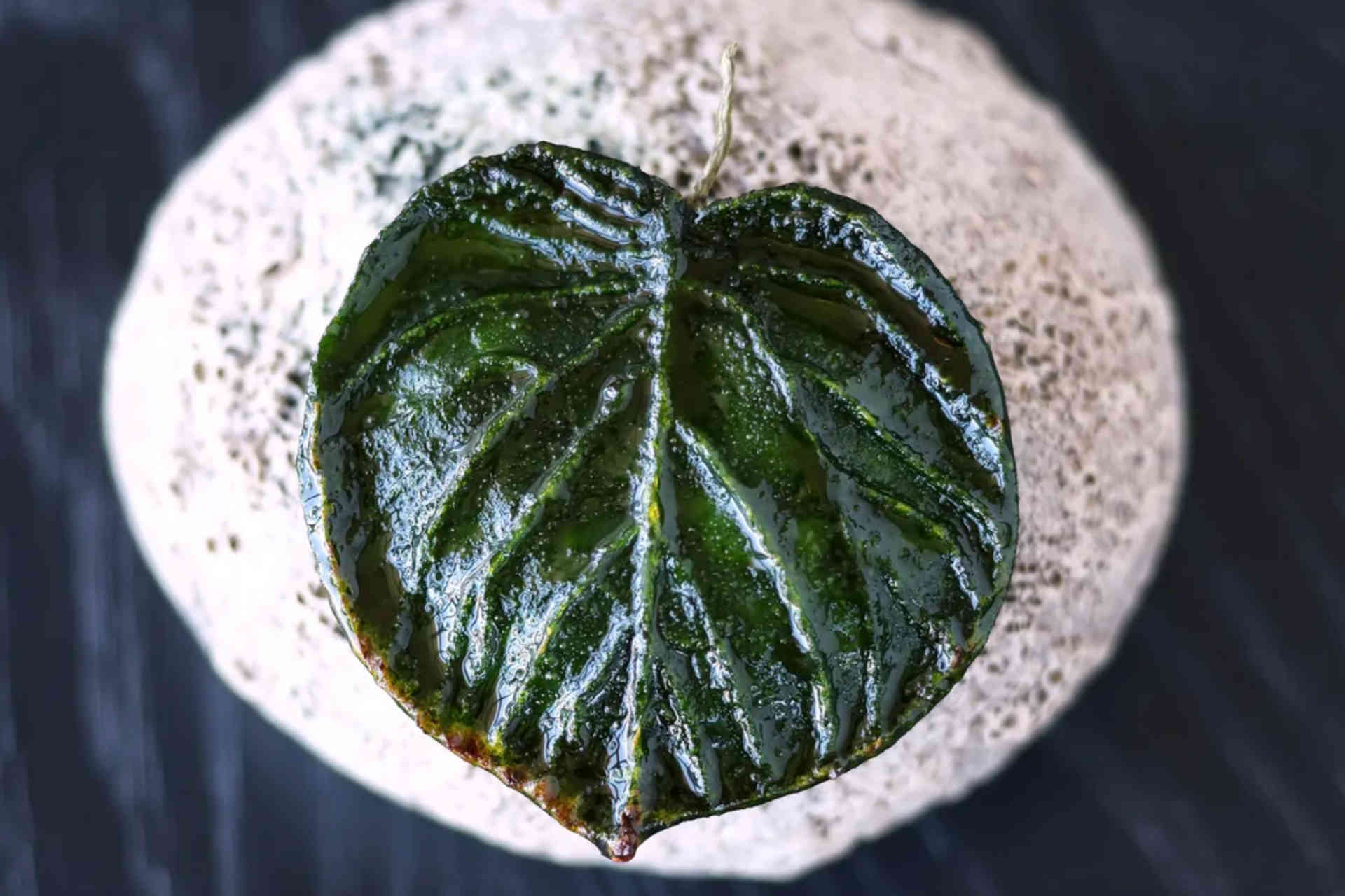 „Gegrilltes Blatt“ – Zucchini – Birne – Wipfel © Helge Kirchberger Photography