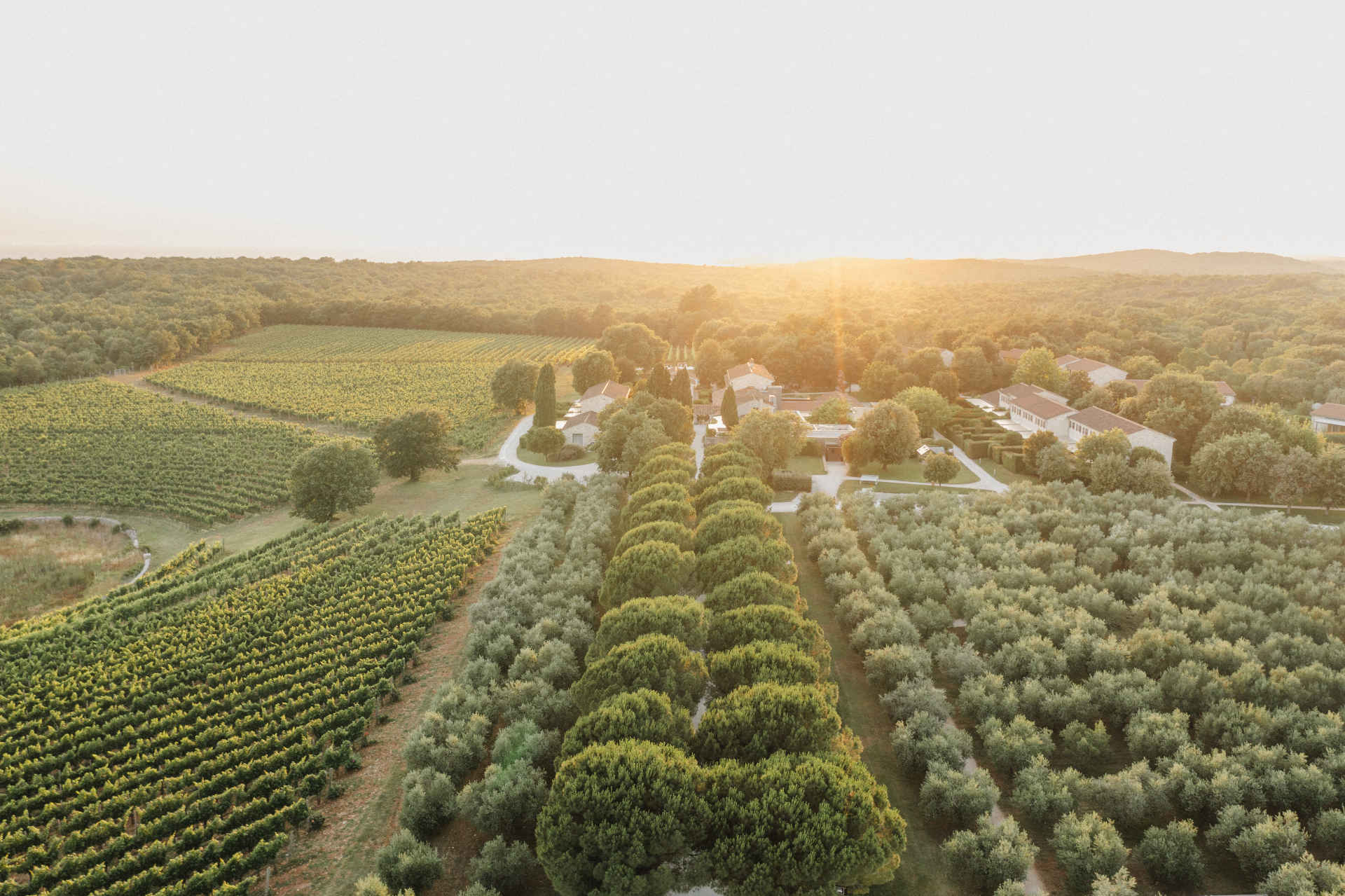 © Meneghetti Wine Hotel & Winery