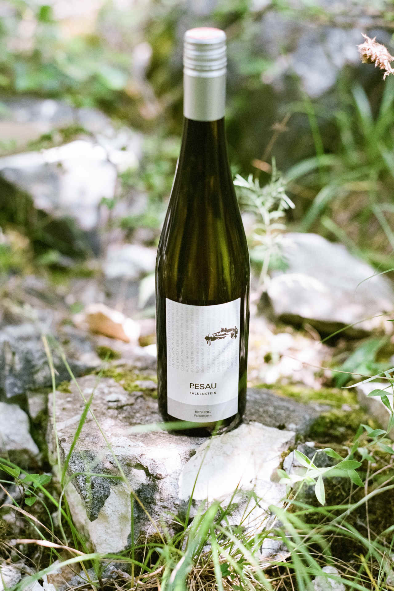 Im Sortenspiegel des Weinguts ist auch Riesling. © Weingut Pesau