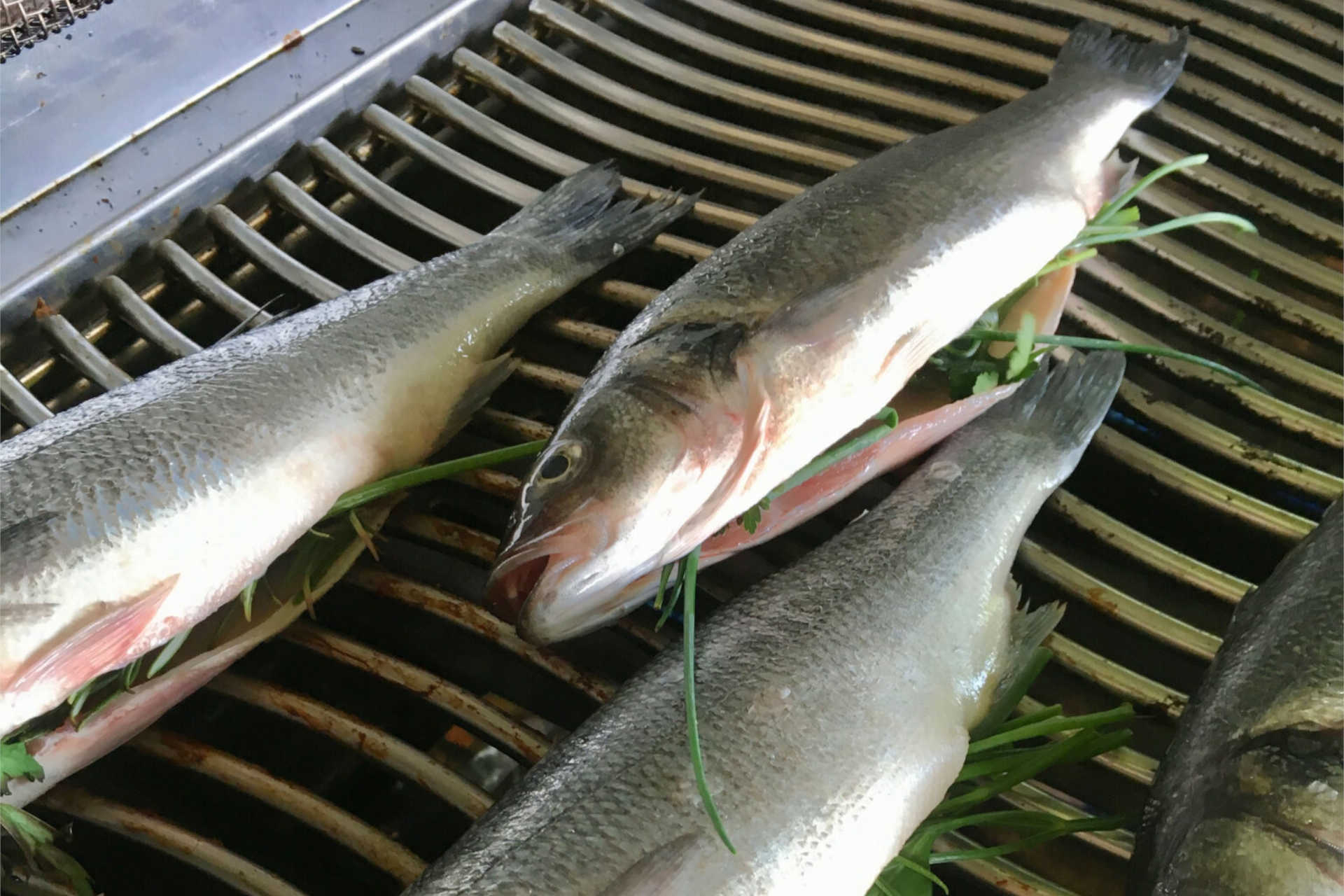 Grill-Fisch-beigestellt-1920