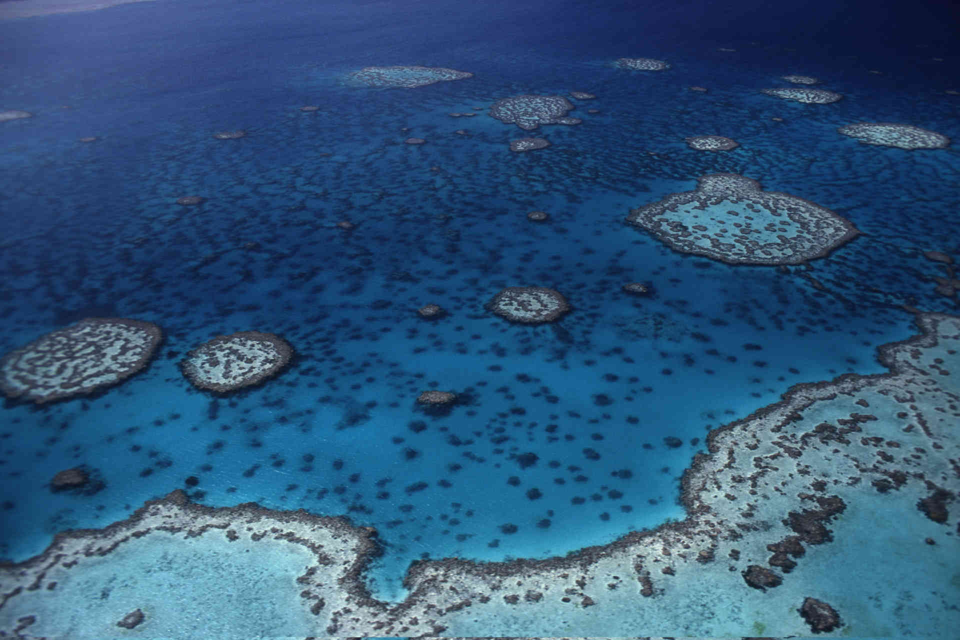 Luftaufnahme des Great Barrier Reefs und Korallenmeers, Australien, Foto beigestellt