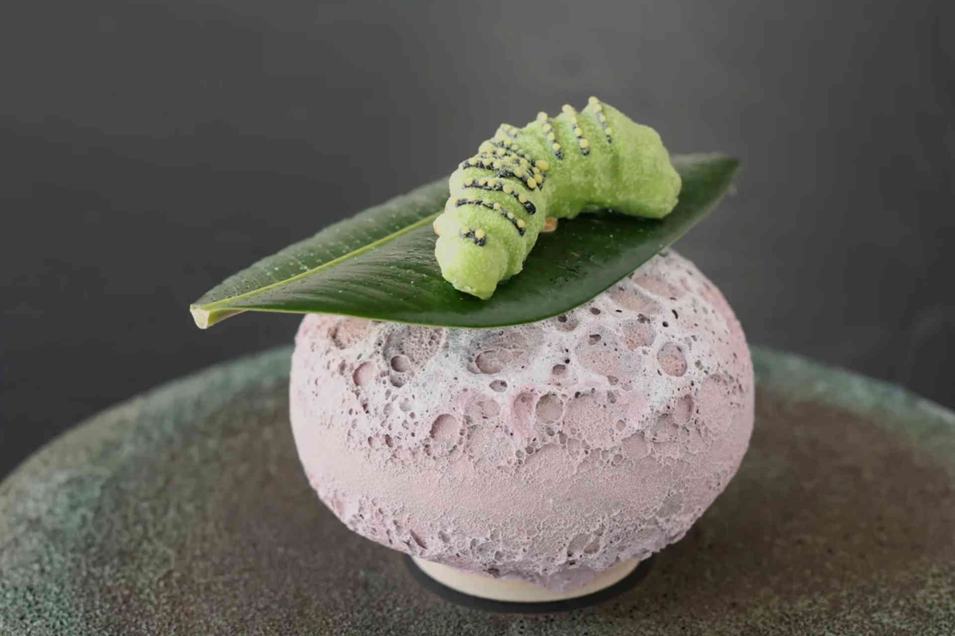 „Raupe“: Kerbel Sorbet – Cookie – Nobilis-Tanne © Helge Kirchberger Photography